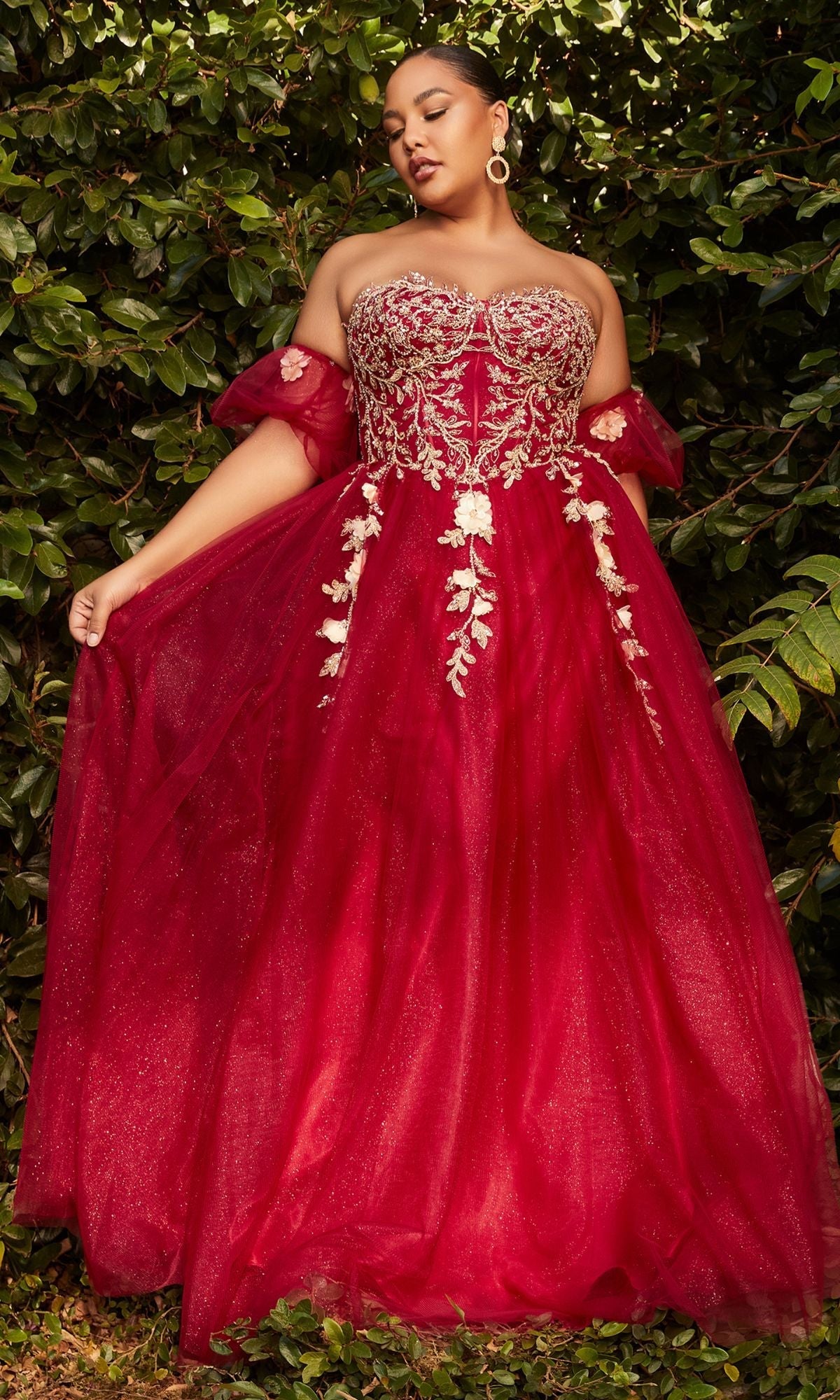 Long Plus-Size Formal Dress CD0191C by Ladivine