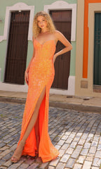 Formal Long Dress NA-F1470 by Nox Anabel