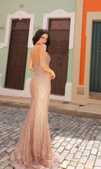 Formal Long Dress NA-F1470 by Nox Anabel