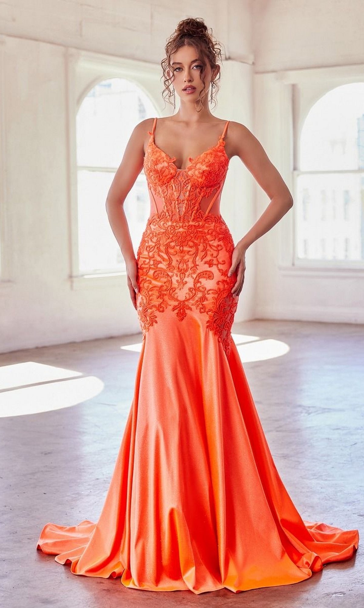 Formal Long Dress CDS470 By Ladivine